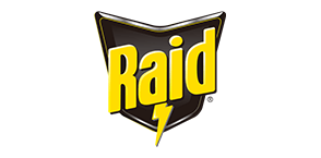 Raid